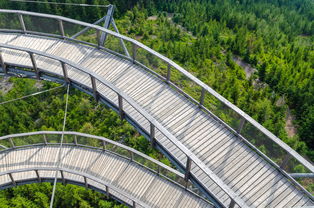 九游官网入口下载-“飞盘:三叉湖赛场飞扬,速度与技巧成就精彩” 第2张